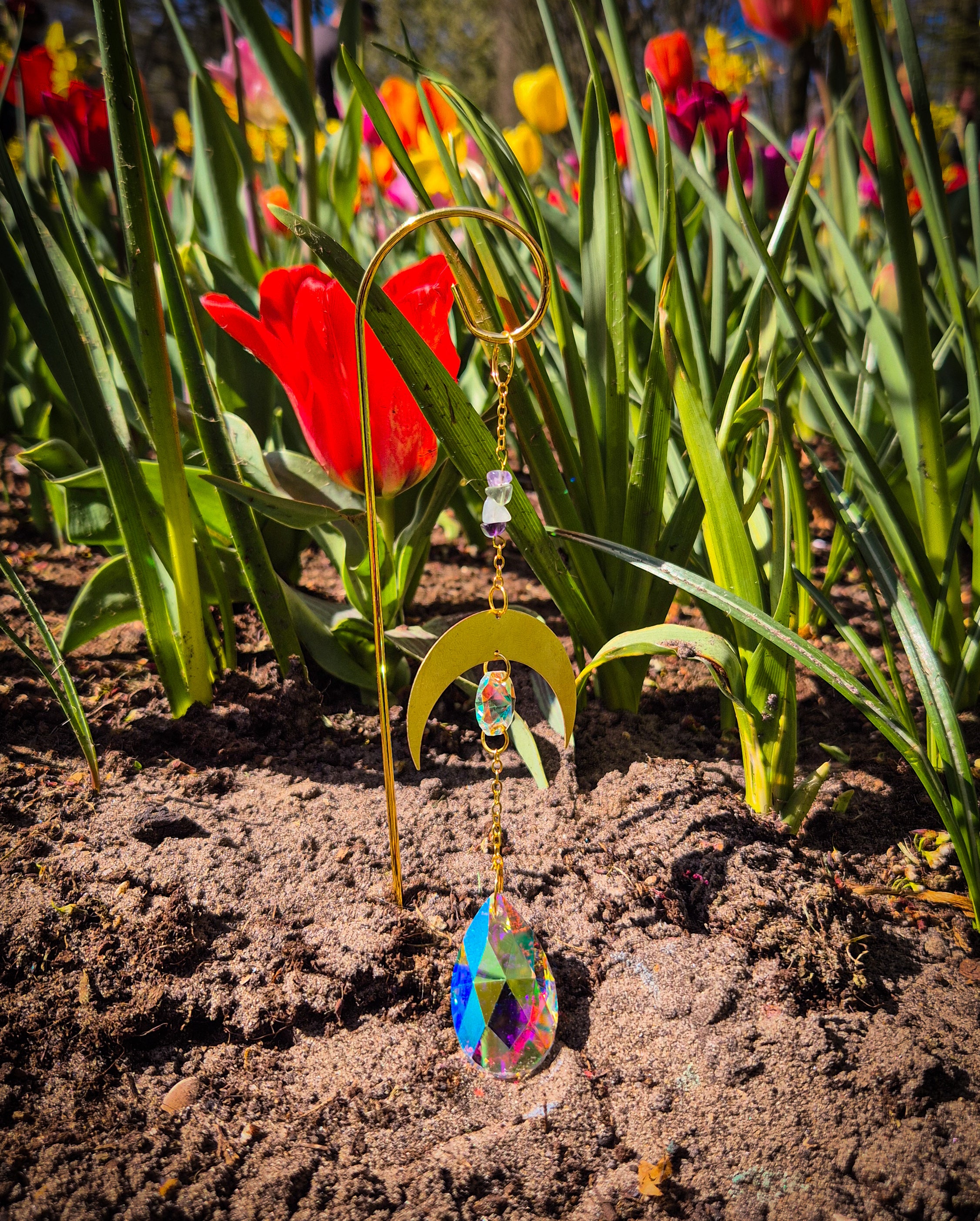 Fluorid Pflanzen-Sonnenfänger - Sonnenfänger - Gold