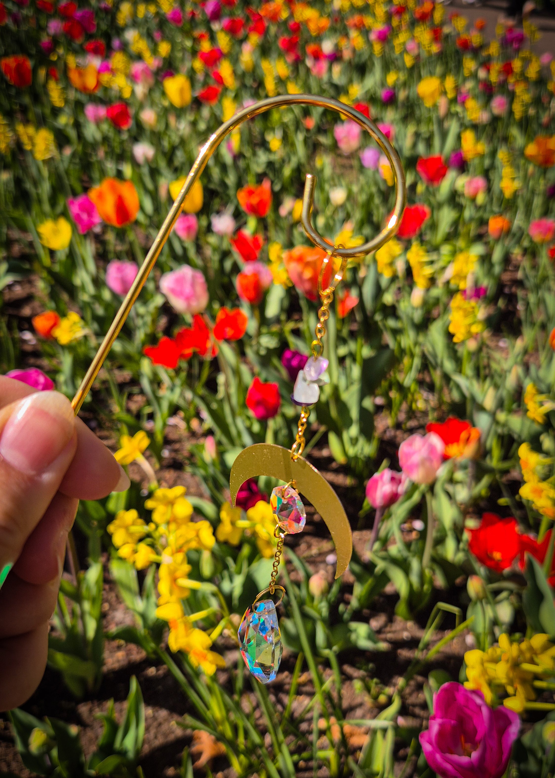 Fluorid Pflanzen-Sonnenfänger - Sonnenfänger - Gold